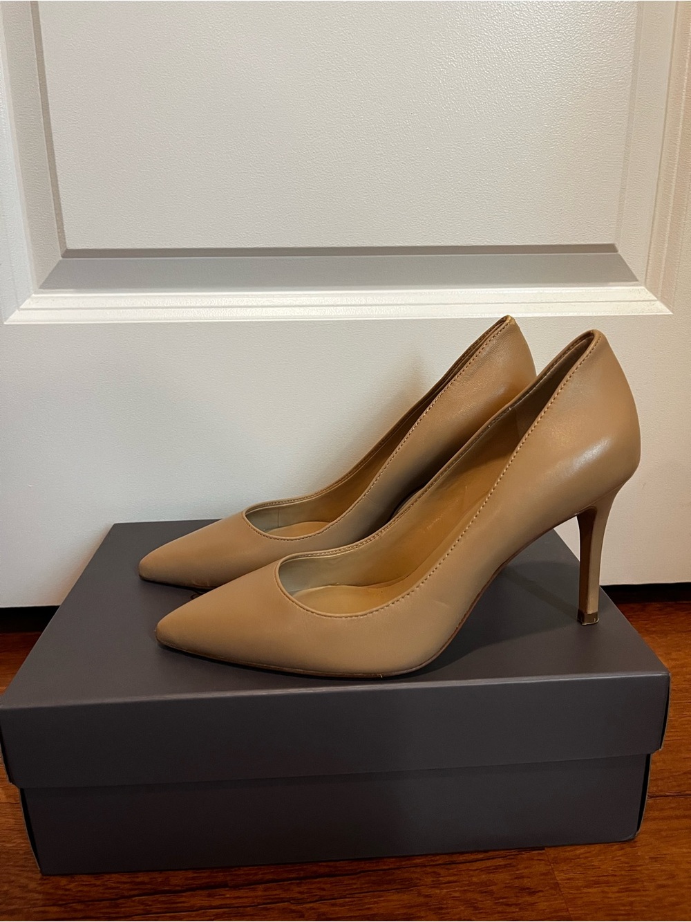 Ann Taylor Women's Pointed-Toe Pumps in Camel Tan